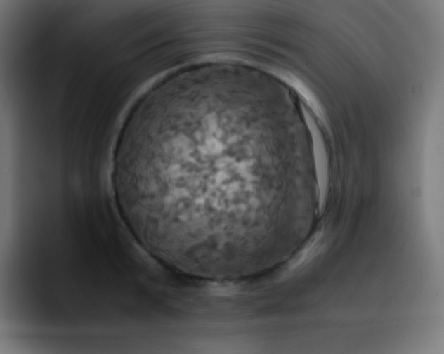 X0000093240799200710101421