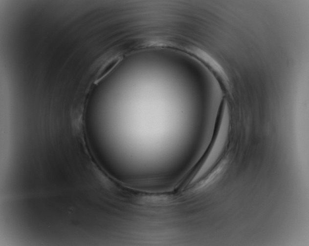 X0000093240801200710101421