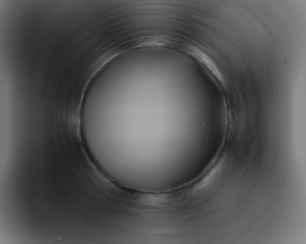 X0000093240802200710101421