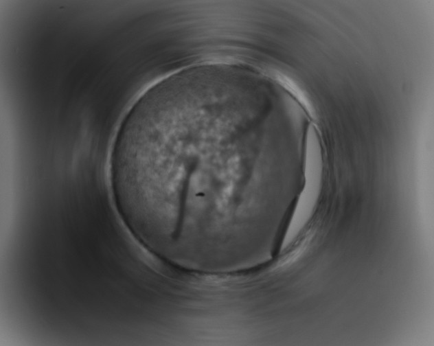 X0000093240803200710101421