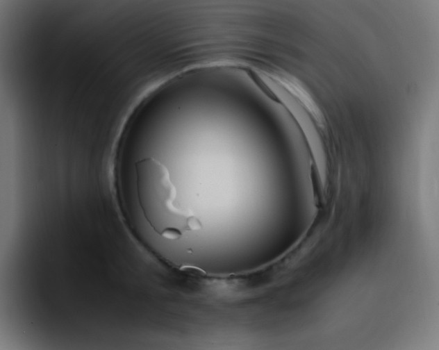 X0000093240805200710101421
