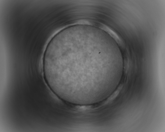 X0000093240808200710101421