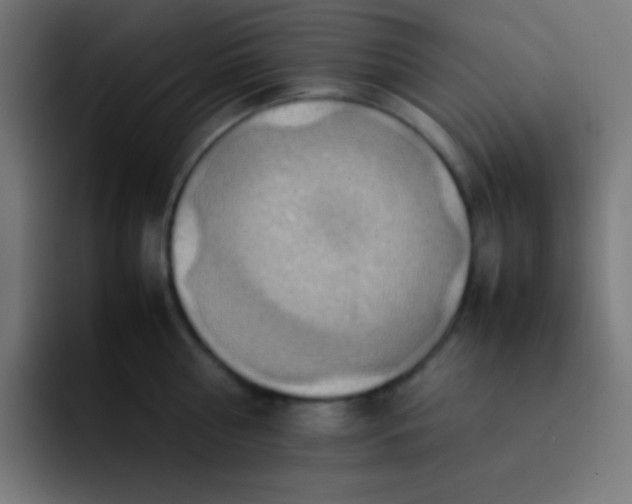 X0000093240810200710101421