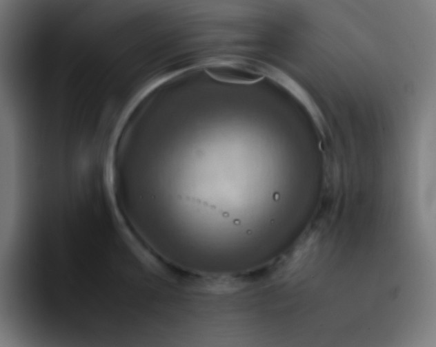 X0000093240811200710101421