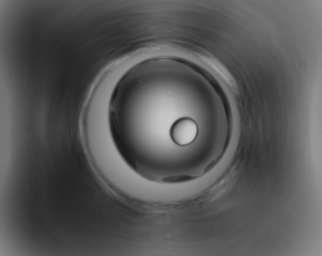 X0000093240813200710101421