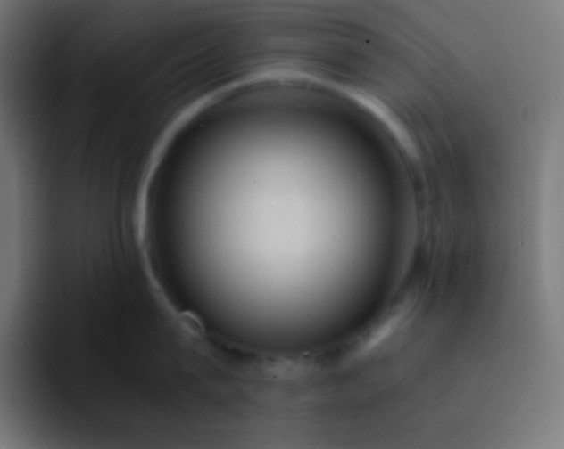 X0000093240815200710101420