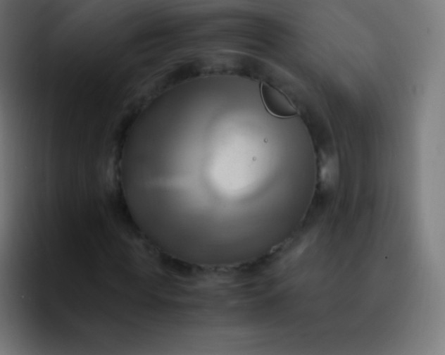 X0000093240819200710101420