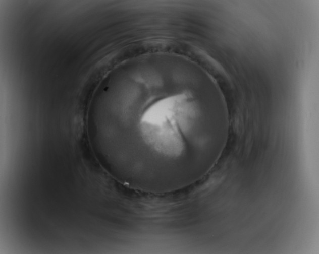 X0000093240821200710101420