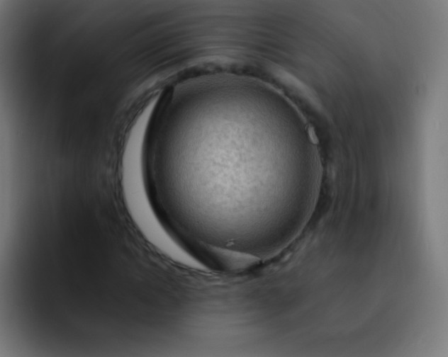 X0000093240822200710101420