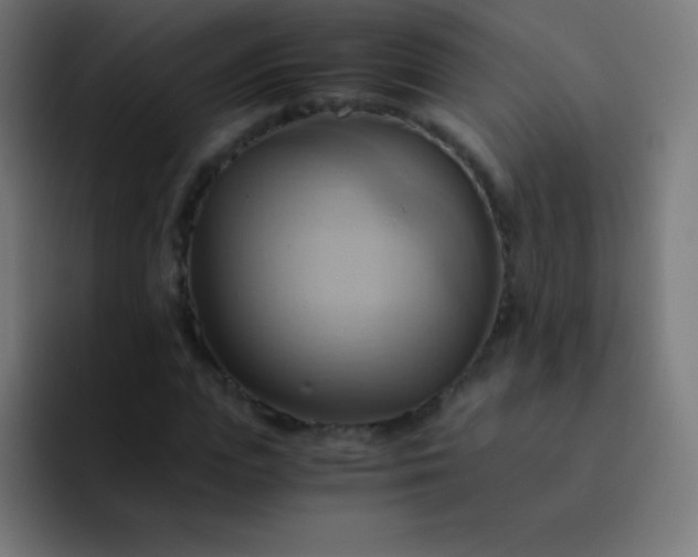 X0000093240823200710101420