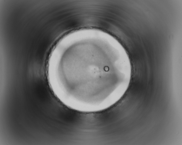 X0000093240828200710101420