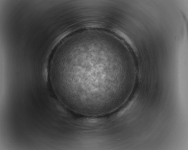 X0000093240829200710101420