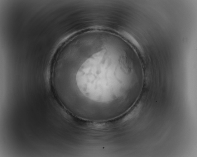 X0000093240831200710101420