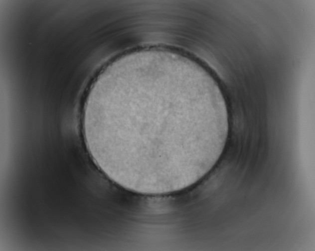 X0000093240832200710101420