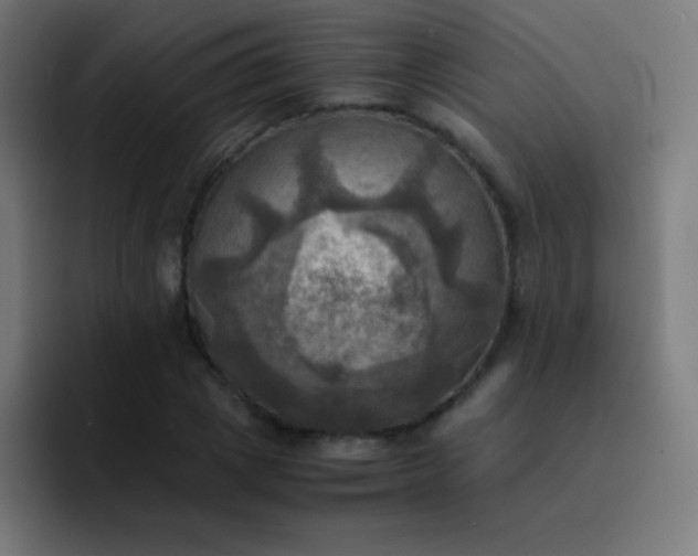 X0000093240833200710101420