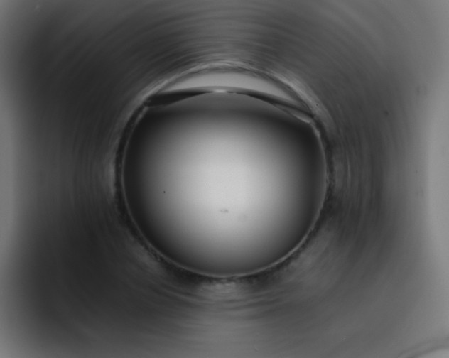 X0000093240834200710101420
