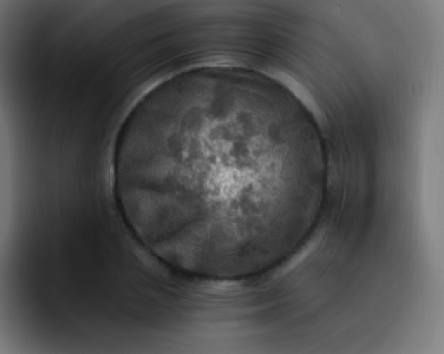 X0000093240837200710101420