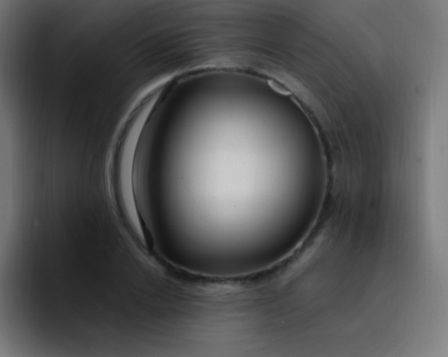 X0000093240838200710101420