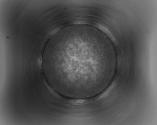 X0000093240841200710101420