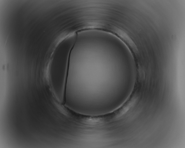 X0000093240842200710101420