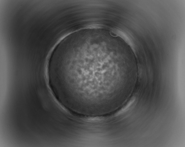 X0000093240843200710101420