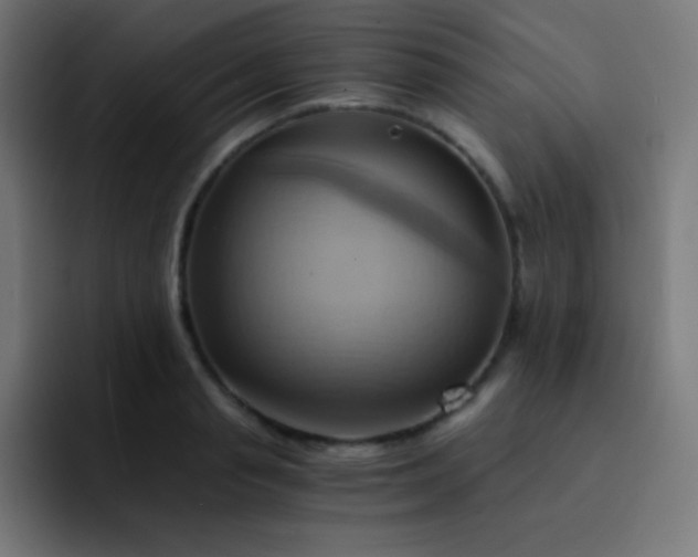 X0000093240845200710101420