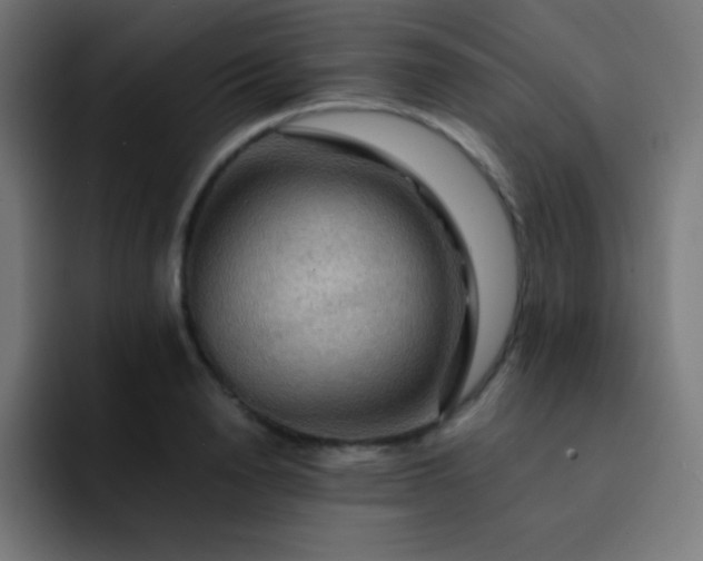 X0000093240846200710101420