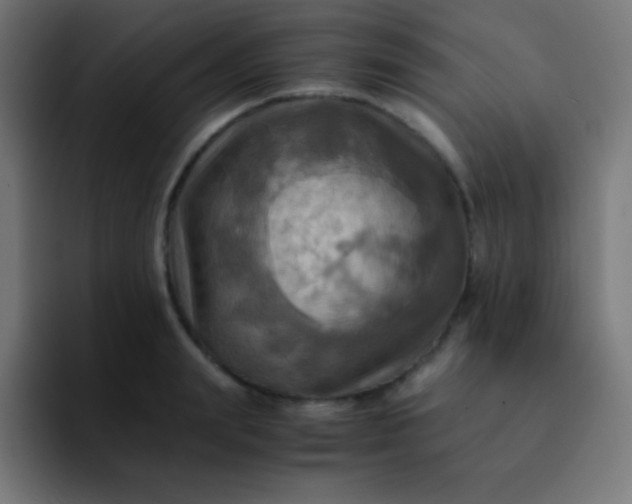 X0000093240847200710101420