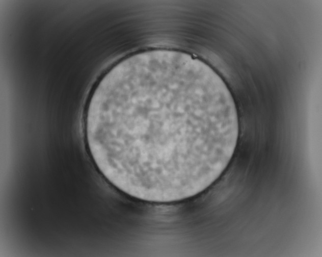 X0000093240848200710101420
