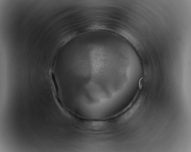 X0000093240849200710101420