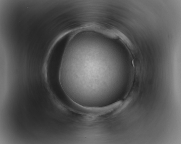 X0000093240854200710101420