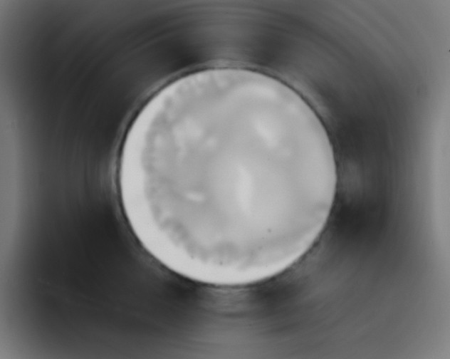 X0000093240856200710101420