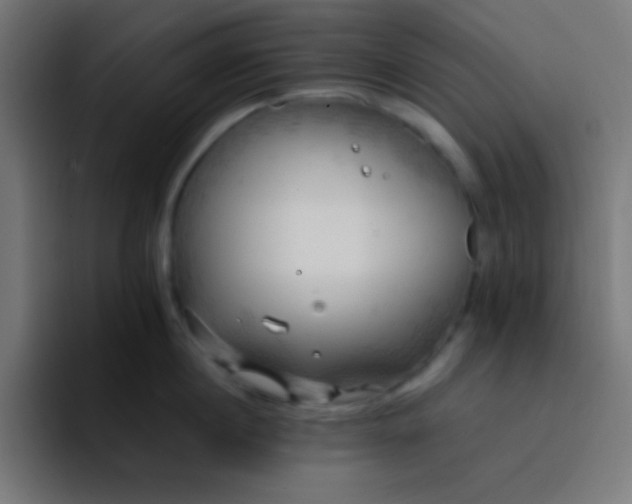 X0000093240860200710101420