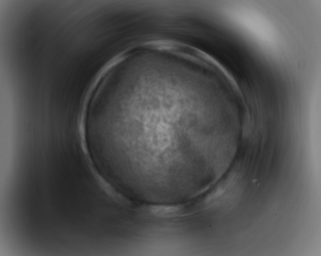 X0000093240861200710101420