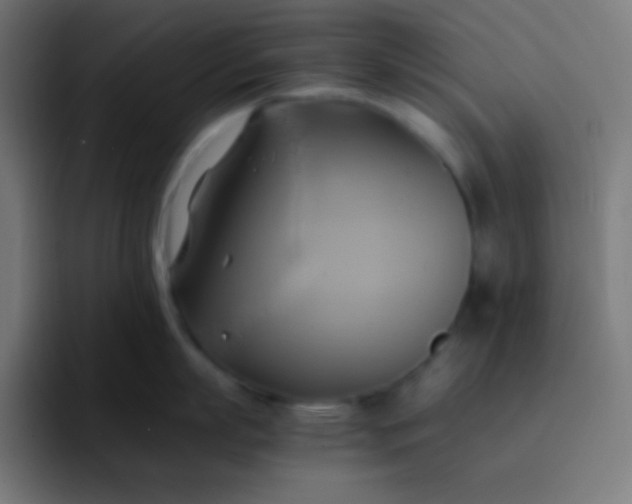 X0000093240863200710101420