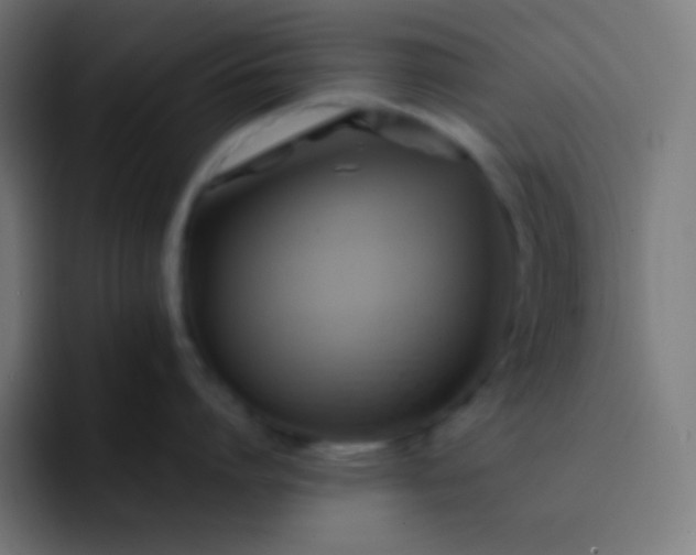 X0000093240864200710101420