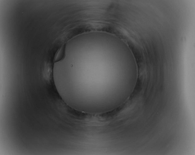 X0000093240866200710101420