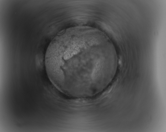 X0000093240867200710101420