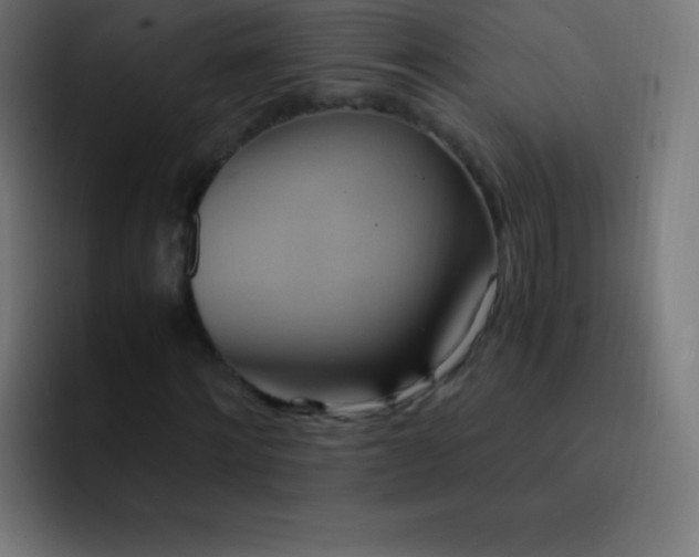 X0000093240868200710101420