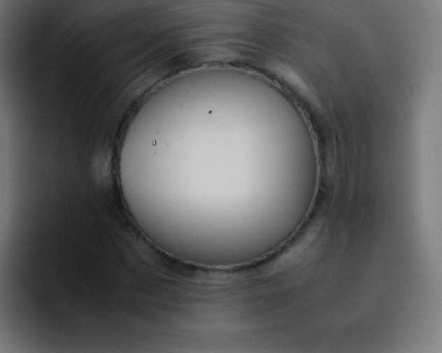X0000093240873200710101420
