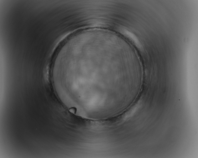 X0000093240875200710101420