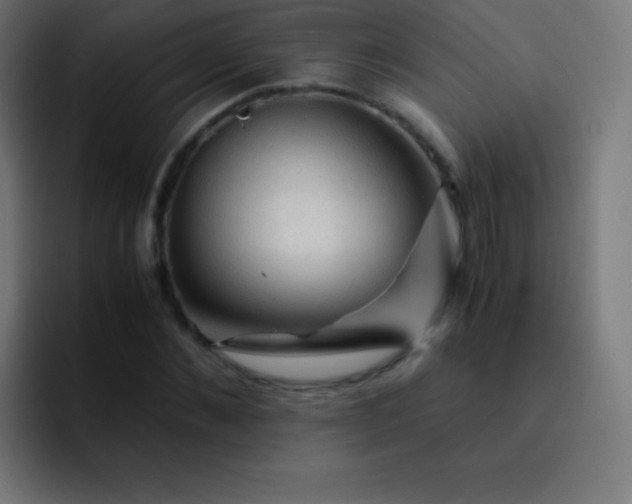 X0000093240876200710101420