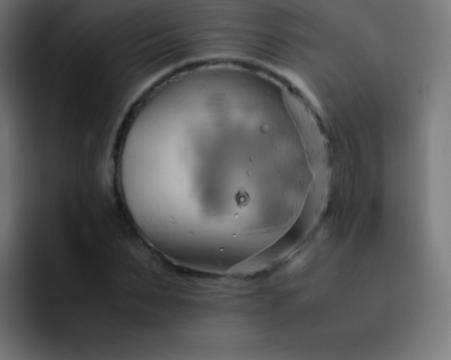 X0000093240879200710101420