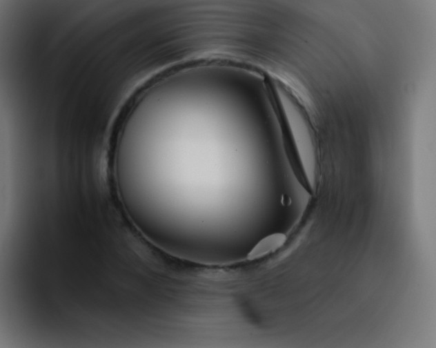 X0000093240880200710101420