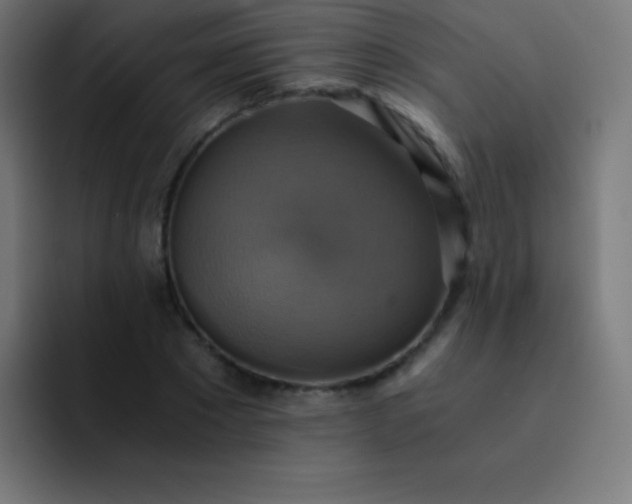 X0000093240881200710101420