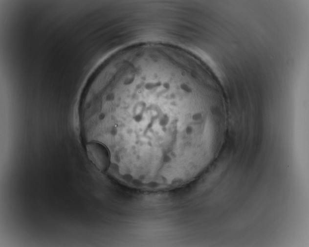 X0000093240887200710101420