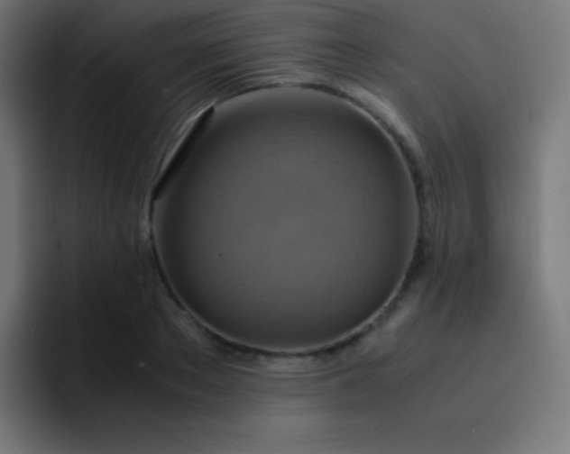 X0000093240889200710101420