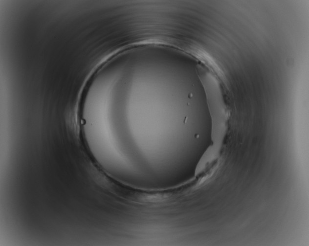 X0000093240892200710101420