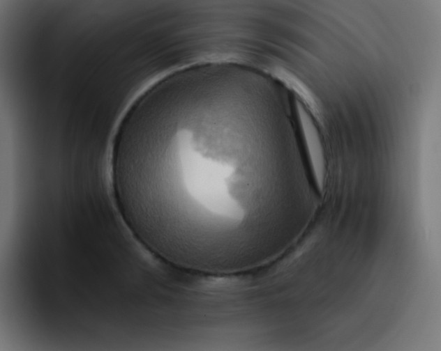X0000093240894200710101420