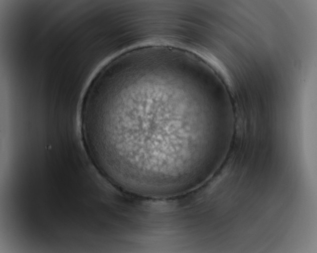 X0000093240896200710101420